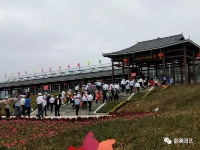 嘉年华与科技推广和应用服务的融合 创新体验的新篇章